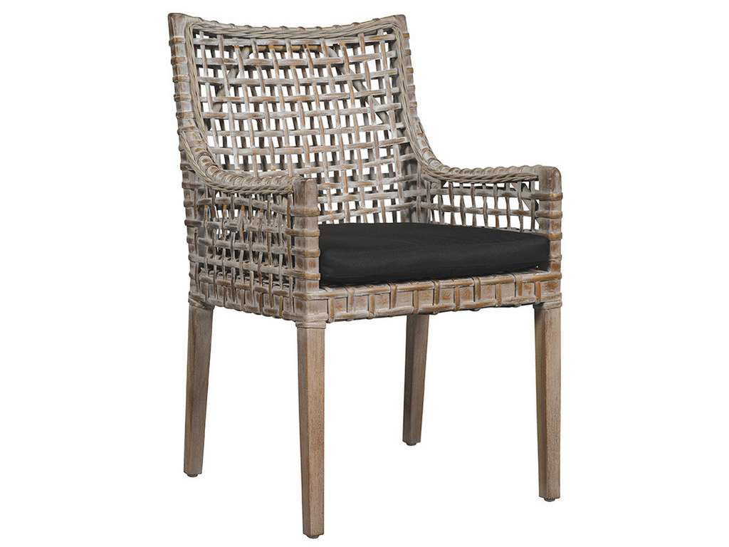 Furniture Classics 18-63  Exodis Arm Chair