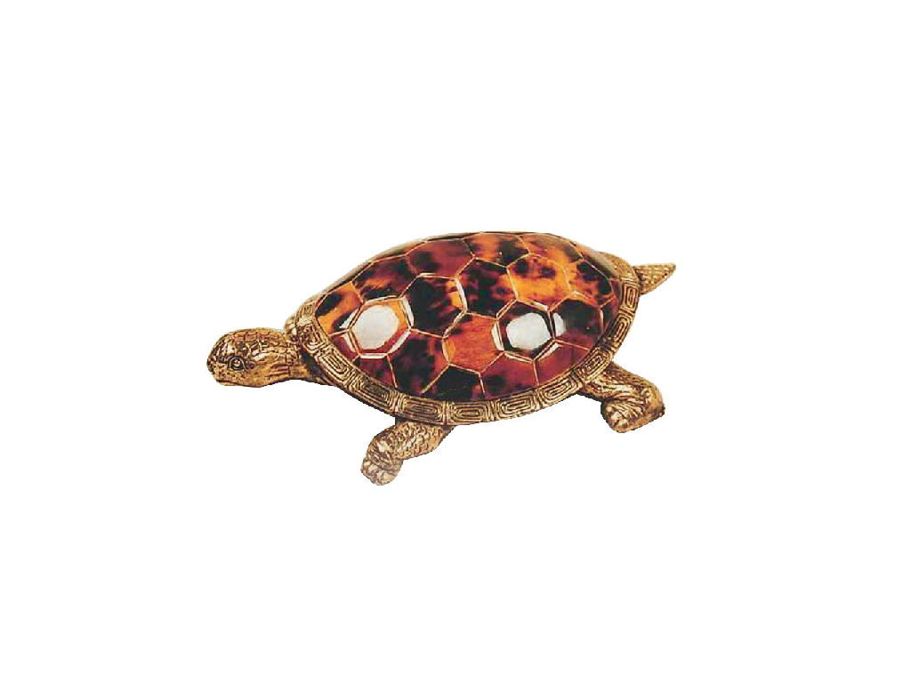 Maitland Smith 8199-10 Young Turtle Accessory Maitland Smith 8199-10 Young Turtle Accessory