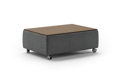 Luonto FUNC-QO Functional Coffee Table